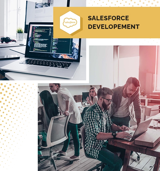 Salesforce Development Company